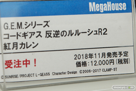 ワンダーフェスティバル 2018［夏］　メガハウス38