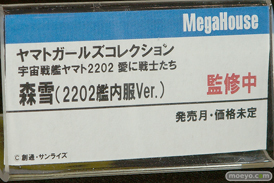 ワンダーフェスティバル 2018［夏］　メガハウス41