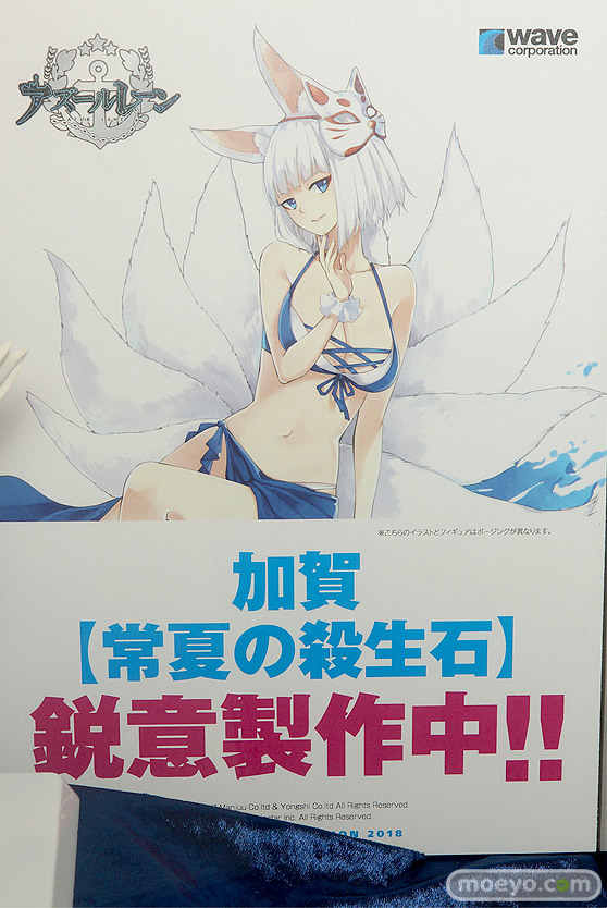 ワンダーフェスティバル 2018［夏］　ウェーブ05