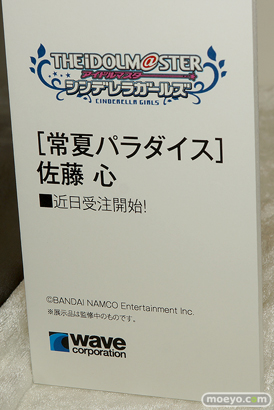 ワンダーフェスティバル 2018［夏］　ウェーブ08