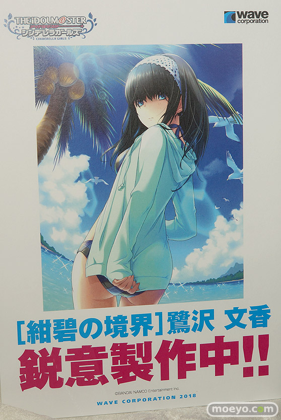 ワンダーフェスティバル 2018［夏］　ウェーブ09