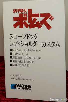 ワンダーフェスティバル 2018［夏］　ウェーブ11