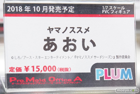 秋葉原の審査すフィギュア展示の様子09