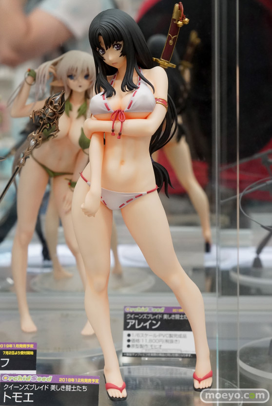 秋葉原の審査すフィギュア展示の様子17