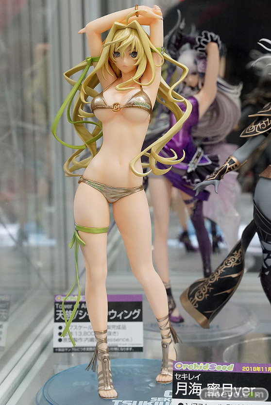 秋葉原の審査すフィギュア展示の様子19