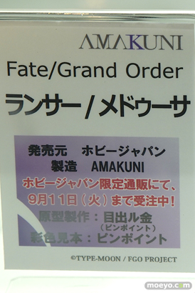 秋葉原の審査すフィギュア展示の様子22