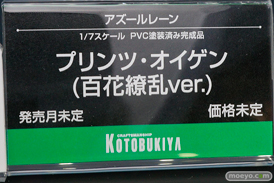ワンダーフェスティバル 2018［夏］　コトブキヤ08
