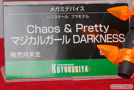 ワンダーフェスティバル 2018［夏］　コトブキヤ32