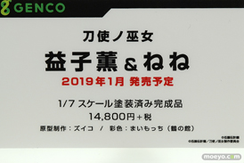 ワンダーフェスティバル 2018［夏］　ジェンコ11
