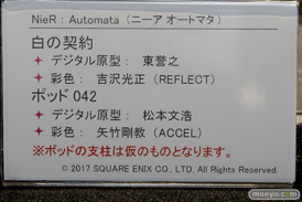 ワンダーフェスティバル 2018［夏］　フレア05