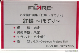 ワンダーフェスティバル 2018［夏］　フレア28