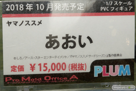 ワンダーフェスティバル 2018［夏］　プラム04