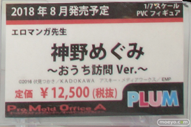 ワンダーフェスティバル 2018［夏］　プラム11