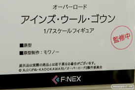 ワンダーフェスティバル 2018［夏］　フリュー09