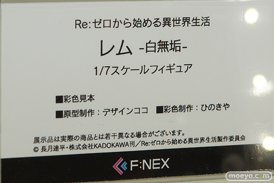 ワンダーフェスティバル 2018［夏］　フリュー11