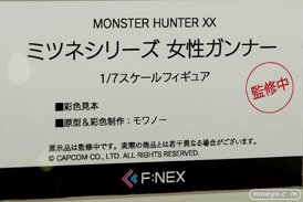 ワンダーフェスティバル 2018［夏］　フリュー14