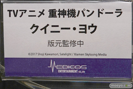 ワンダーフェスティバル 2018［夏］　メディコスエンタテイメント04