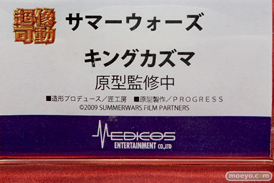 ワンダーフェスティバル 2018［夏］　メディコスエンタテイメント11