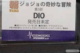 ワンダーフェスティバル 2018［夏］　メディコスエンタテイメント15