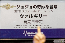 ワンダーフェスティバル 2018［夏］　メディコスエンタテイメント19