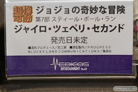ワンダーフェスティバル 2018［夏］　メディコスエンタテイメント21