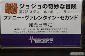 ワンダーフェスティバル 2018［夏］　メディコスエンタテイメント23
