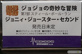 ワンダーフェスティバル 2018［夏］　メディコスエンタテイメント25
