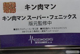 ワンダーフェスティバル 2018［夏］　メディコスエンタテイメント29