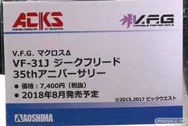 ワンダーフェスティバル 2018［夏］　アオシマ12