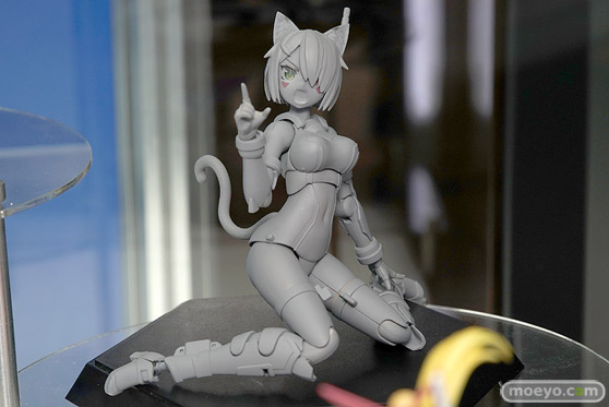 ワンダーフェスティバル 2018［夏］　アオシマ13