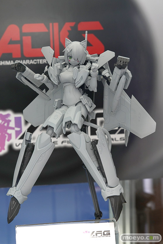 ワンダーフェスティバル 2018［夏］　アオシマ15