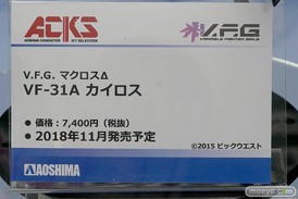 ワンダーフェスティバル 2018［夏］　アオシマ16