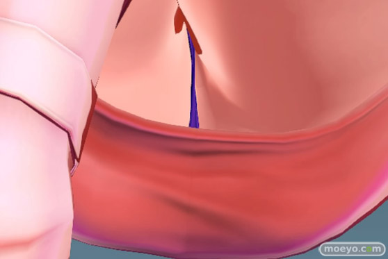 SNKヒロインズ Tag Team Frenzy のシェルミ―のパンツ画像12