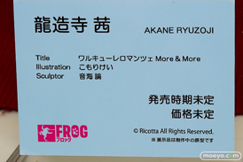 フロッグの新作アダルトフィギュア ワルキューレロマンツェ More&More 龍造寺茜 の監修中原型画像11