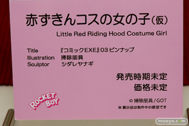 ロケットボーイ 赤ずきんコスの女の子（仮） 掃除朋具 16