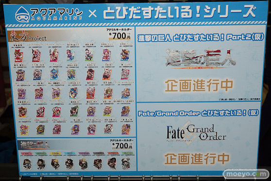 宮沢模型 第42回 商売繁盛セール スカイチューブ　アルファマックス　あみあみ　クルシマ　回天堂　レチェリー　アクアマリン　ブシロード　アルゴ舎　50