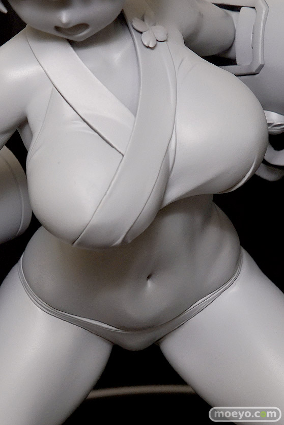 ホビーストック 閃乱カグラ 夜桜 09