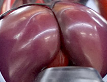 「紅月カレン」「夜桜」「澤村・スペンサー・英梨々 抱き枕Ver.」など 秋葉原の新作フィギュア、グッズ展示の様子（2018年11月17日）