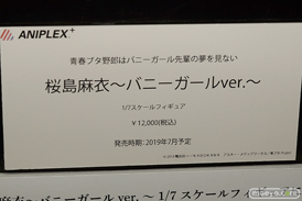 メガホビEXPO 2018 Autumn フィギュア　電ホビ 東京フィギュア リコルヌ リボルブ アニプレックス+ 36