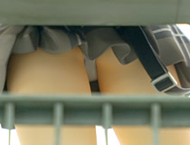 秋葉原の新作フィギュア展示の様子