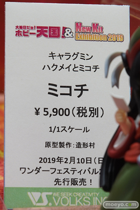 秋葉原の新作フィギュア展示の様子　20190104　51