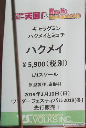 秋葉原の新作フィギュア展示の様子　20190104　53
