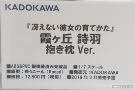 秋葉原の新作フィギュア展示の様子26