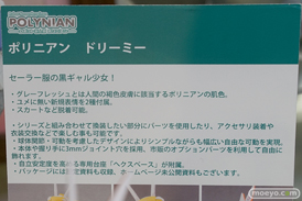 秋葉原の新作フィギュア展示の様子28