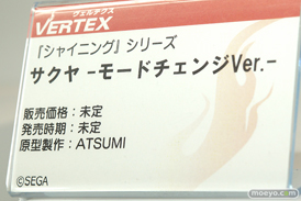 画像　フィギュア　サンプル　レビュー　ワンダーフェスティバル 2019［冬］ ヴェルテクス キャストオフ 17
