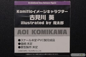 画像　フィギュア　サンプル　レビュー　ワンダーフェスティバル 2019［冬］ オーキッドシード エロ キャストオフ 27