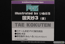 画像　フィギュア　サンプル　レビュー　ワンダーフェスティバル 2019［冬］ オーキッドシード エロ キャストオフ 29