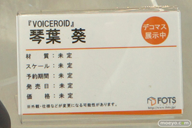 画像　フィギュア　サンプル　レビュー　ワンダーフェスティバル 2019［冬］ プルクラ エロ 尻 27
