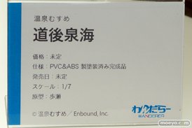 画像　フィギュア　サンプル　レビュー　ワンダーフェスティバル 2019［冬］ わんだらー 18
