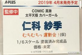 画像　フィギュア　サンプル　レビュー　ワンダーフェスティバル 2019［冬］ エイプラス A+  06